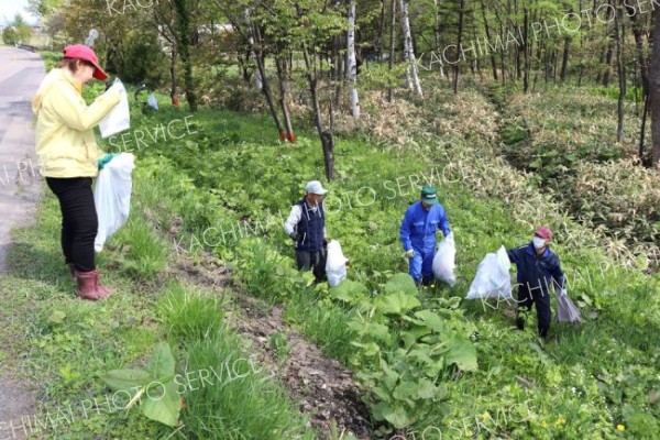 １４０人がごみ拾い　清水町でクリーン・デー