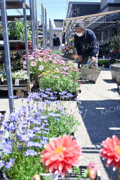 花や野菜の苗を求める愛好者でにぎわう売り場（池田花園本店）