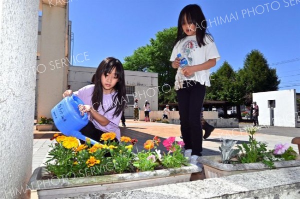 校舎玄関前の花壇に水やりをする児童（白人小で。金野和彦撮影）
