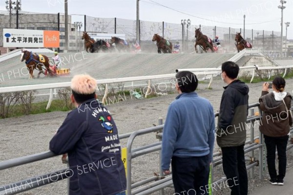 ばんえい今季滑り出し上々　馬券発売微増、来場者大幅増