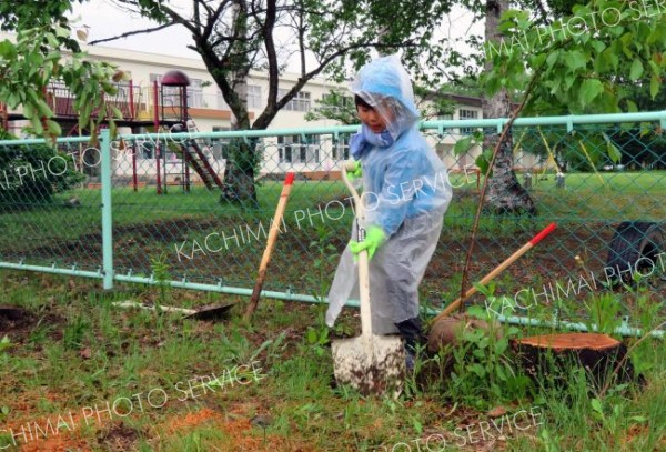 雨の中、地面を掘って植樹する児童