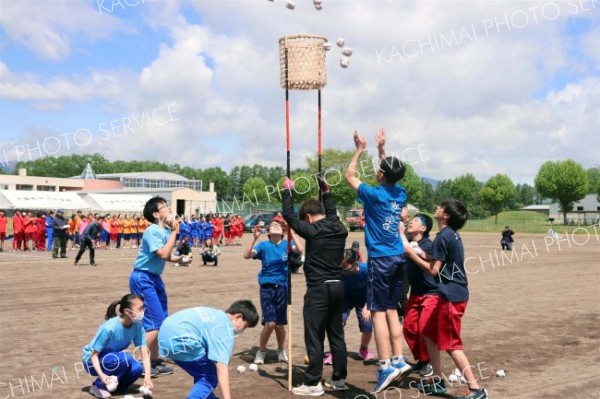 開始の合図とともに一斉に玉を放り込む生徒（５月２５日、士幌中央中学校。大健太郎撮影）