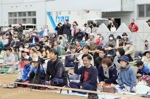 ビデオや写真を撮りながらにぎやかに応援する保護者（１日、帯広第五中学校。長尾悦郎通信員撮影）