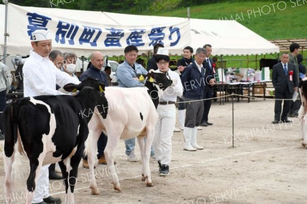 乳牛、肉牛合わせ５１頭が出陳　幕別町畜産祭り