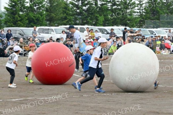 更別小学校運動会（８日、更別小学校。金野和彦撮影）