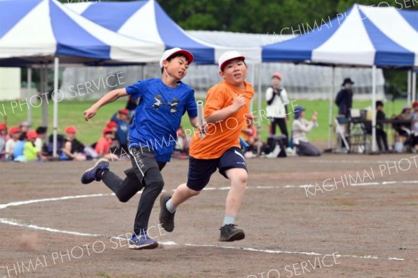 更別小学校運動会（８日、更別小学校。金野和彦撮影）