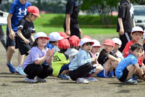 更別小運動会（８日、更別小学校。金野和彦撮影）