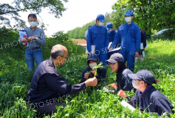 更別農高が草地更新３年目　収穫前に講習会