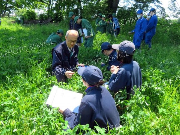 塩沢さんから草地の様子について説明を受ける生徒たち