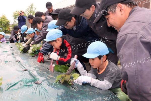 「大きく育ってね」　清水高で園児がサツマイモ定植