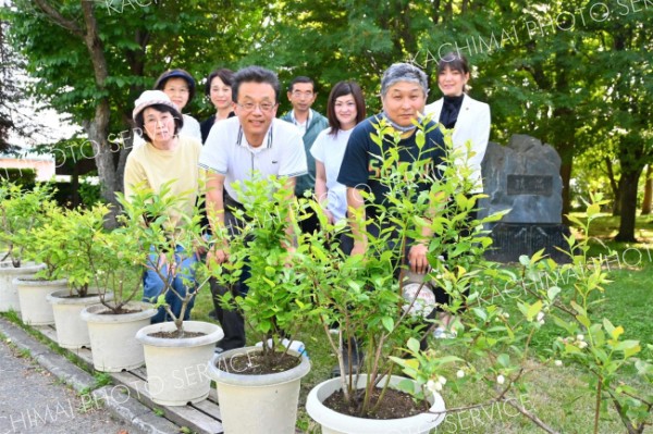 「自由に食べて楽しんで」プラザ六中にブルーベリーの鉢～こぼれ話