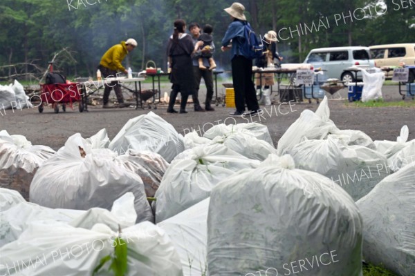 敷地内を有志約５０人が清掃　再開後初のイベント「Ｃｌｅａｎ　Ａｃｔｉｏｎ　新嵐山」