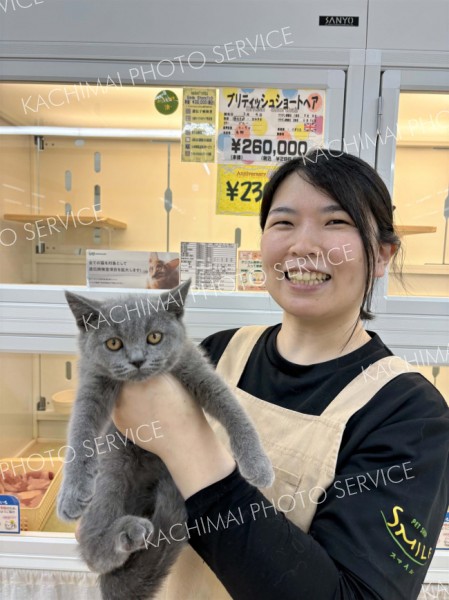 子猫のニューフェース登場　スマイル本店