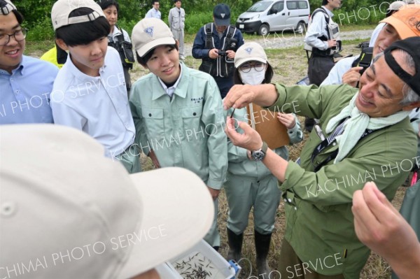 帯広工業高生徒が札内川と十勝川の合流地点付近で水生生物を採集～こぼれ話