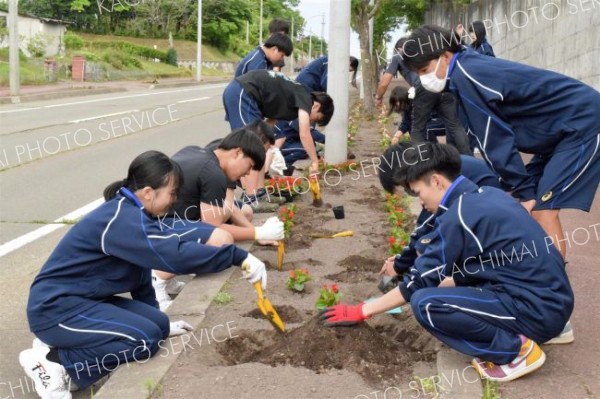 全校生徒が町道沿いの花壇整備　池田高校