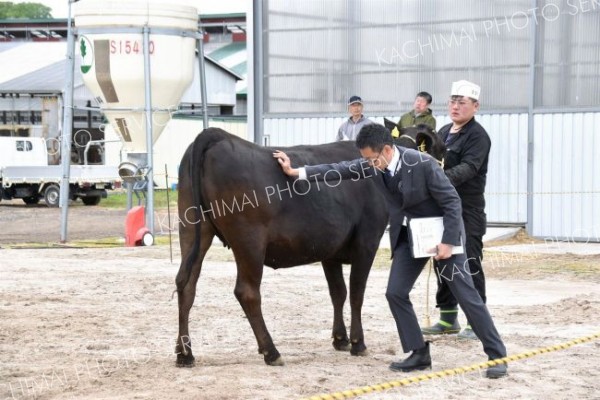 陸別　グランドチャンピオンは編田牧場　陸別町家畜共進会 3