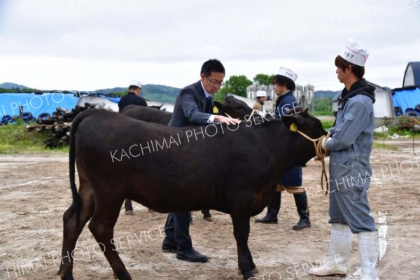 陸別　グランドチャンピオンは編田牧場　陸別町家畜共進会 4