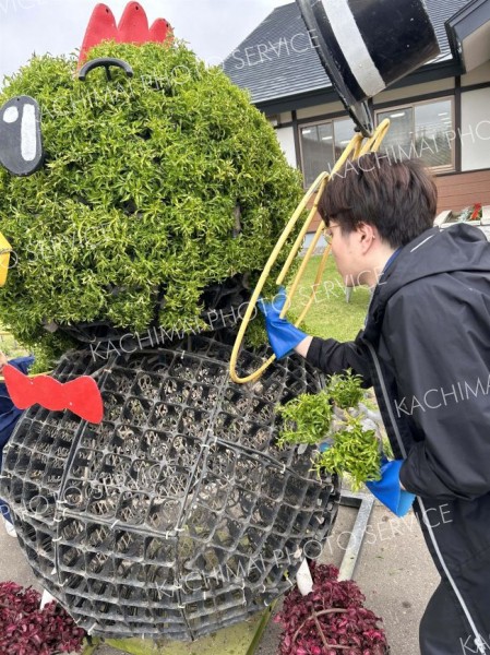 骨組みに苗を植える参加者