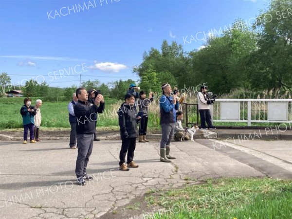 愛冠見守ったアカマツ　住民らに見守られながら伐倒　ウッドチップなど再生利用　足寄 8