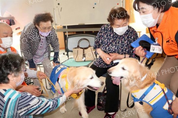 セラピー犬と触れ合い　脳いきいき教室　新得わすれん塾