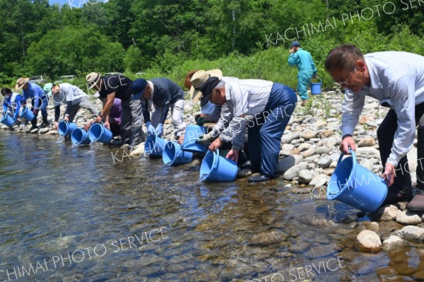 管内河川で１日、ヤマメ釣り解禁　解禁前には約３０００匹放流も