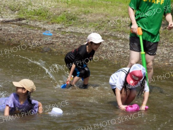 浦幌小１、２年生が川遊び