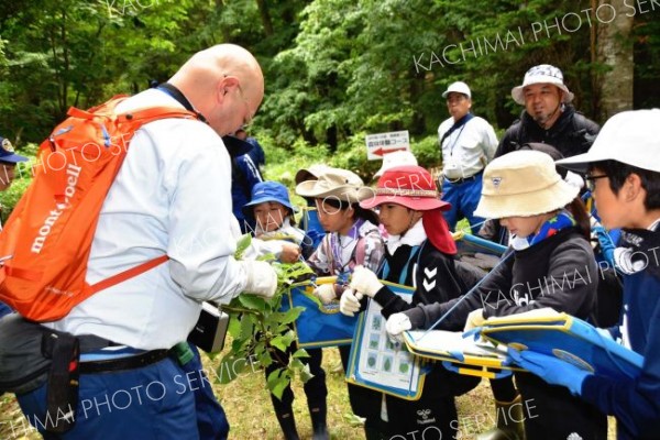 陸別小児童が森林学習　枝打ち体験も