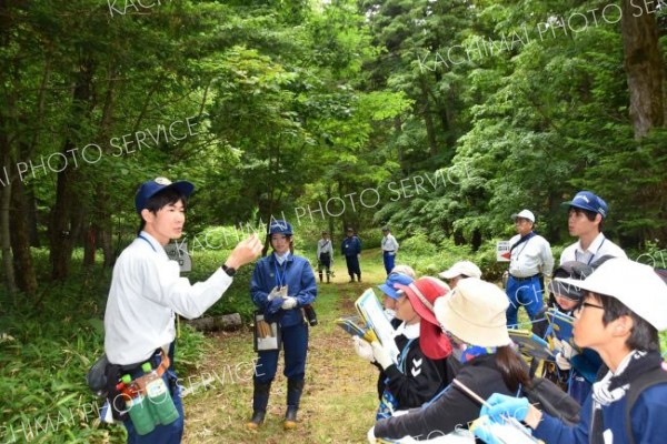 葉について学んだり枝打ちを体験したりした陸別小の児童たち