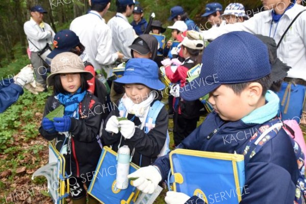 葉について学んだり枝打ちを体験したりした陸別小の児童たち