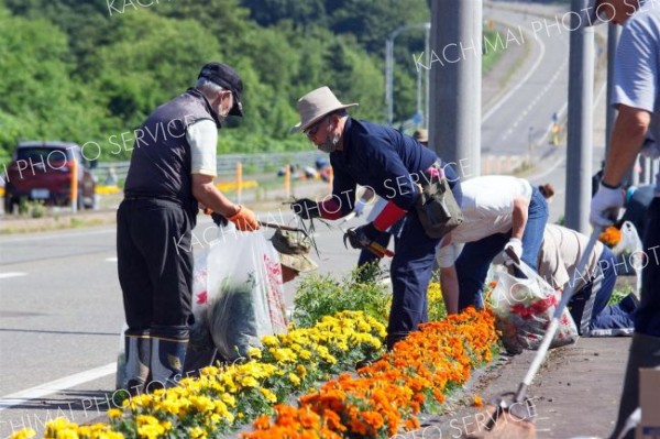 玄関口の花壇で雑草除去　広尾