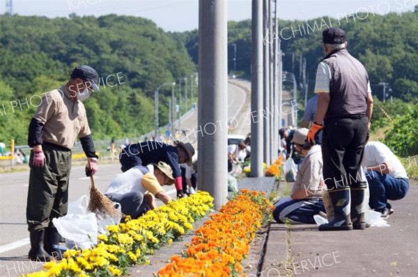 花壇に生えた雑草の除去作業を行った参加者