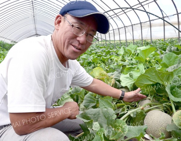 「木野産メロン」に挑戦　イチゴ栽培の辻野農園「おいしいをもっと届けたい」