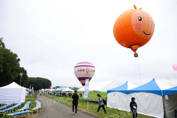 熱気球の体験搭乗が行われ来場者でにぎわった（平栗玲香通信員撮影）