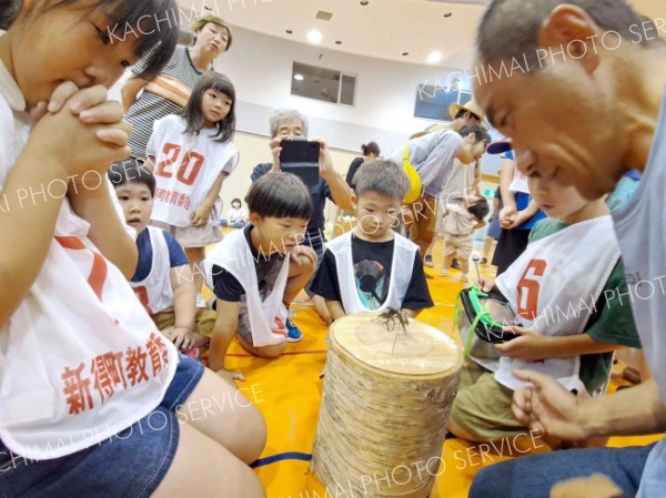 昆虫同士の熱戦を見守る参加者