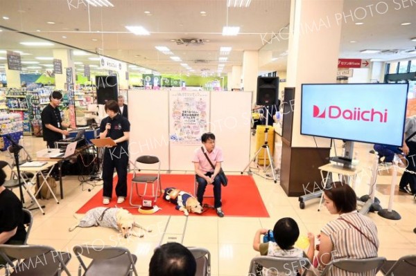 ダイイチ、札幌で自由研究イベント