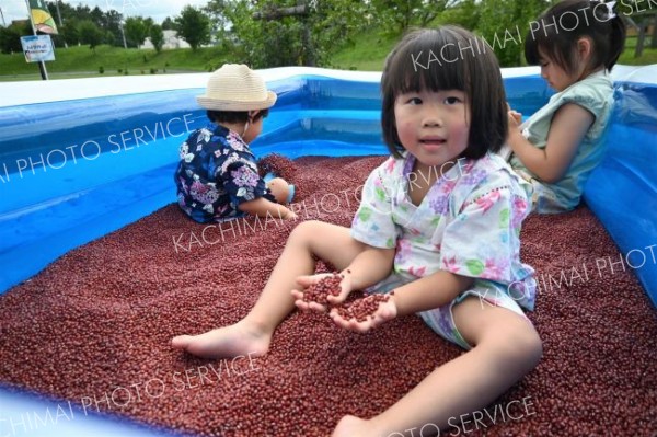 小豆のプールに入って楽しむ子どもたち（道の駅ガーデンスパ十勝川温泉）