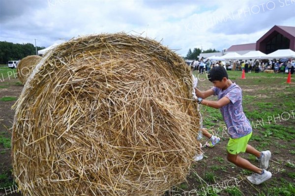 約３００キロの重たい麦稈ロールの競走に奮闘。ゴール目指してひたすら転がす（道の駅おとふけ）