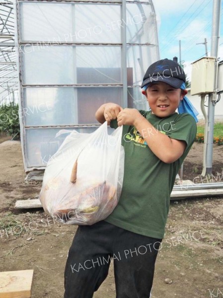 野菜豊作に歓声　豊頃「える夢キッズクラブ」