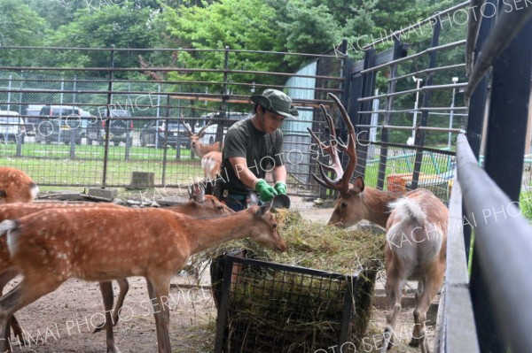 エゾシカの「モグっとガイド」を行う中山さん