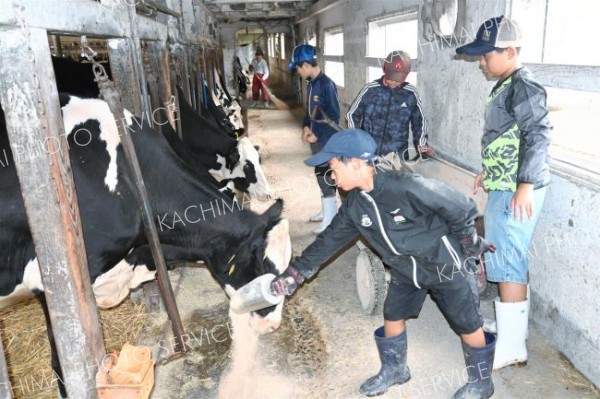 浜野さんの牧場で餌やりを体験する児童