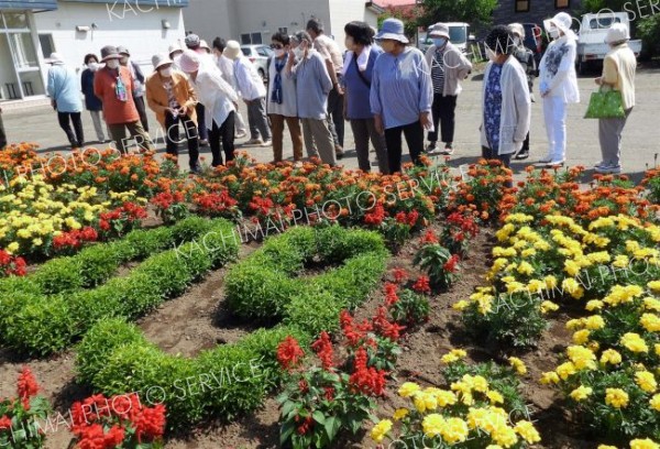 華やかに「祝６０周年」　浦幌帯富悠友会が記念の花壇