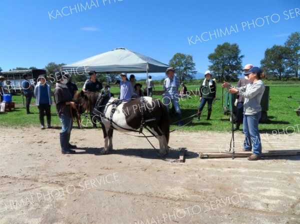 馬に丸太を運ばせる馬搬体験も行われた