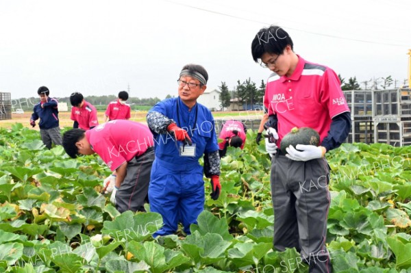 収穫作業を実際に体験し、生産現場の動きを学んだ北海道丸和ロジスティクスの社員