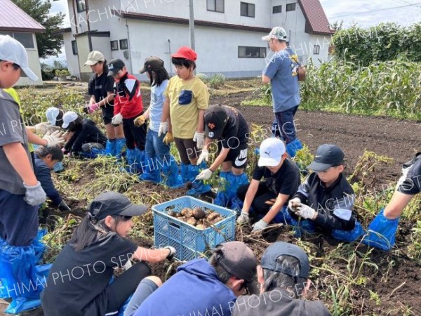 小学生が農場で収穫体験　ＪＡ新得町青年部が企画