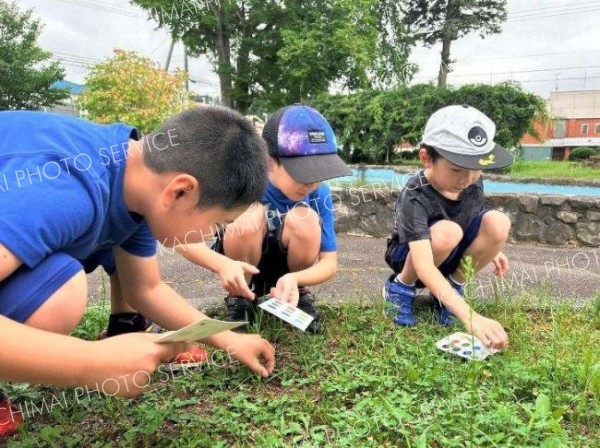 ネイチャーゲームで自然体験を楽しむ参加者