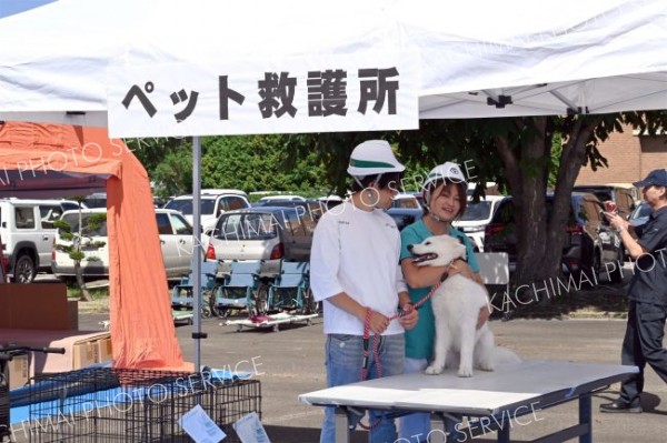 町と町獣医師会の災害協定締結に基づくペット救護所の設置訓練