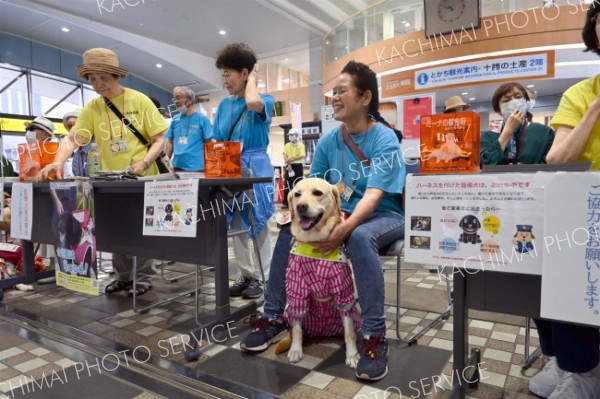 視覚障害や盲導犬の認識深める　１５日にも相談と体験会開催