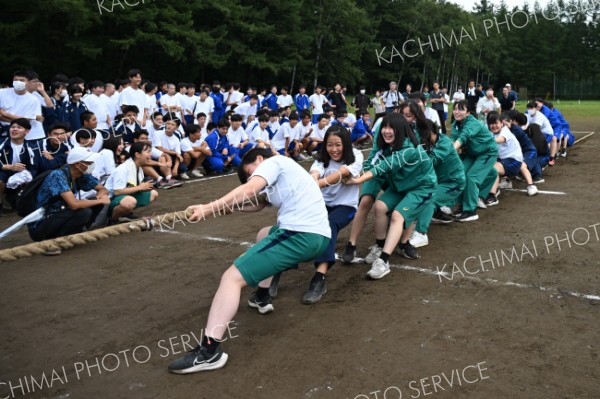 懸命に縄を引く帯工女子チーム