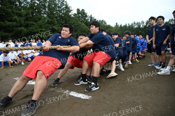 力自慢を綱の前方に集めた帯農チーム