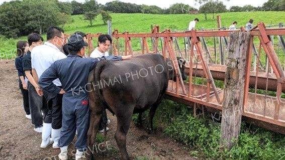 早大生、十勝和牛ブランド化に新提案　商学部学生が実地研修 8